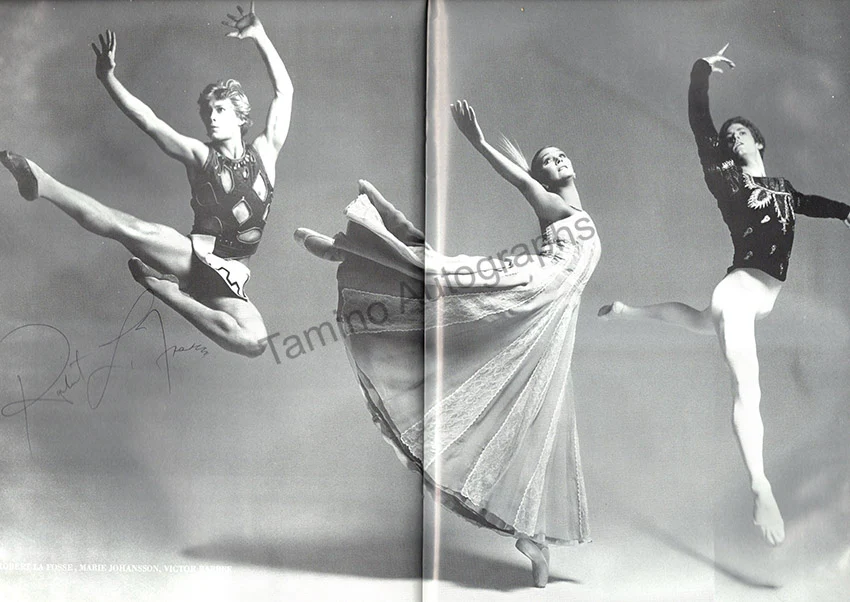 Baryshnikov, Mikhail - Godunov, Alexander & Others - Signed Program American Ballet 1982 - Image 4