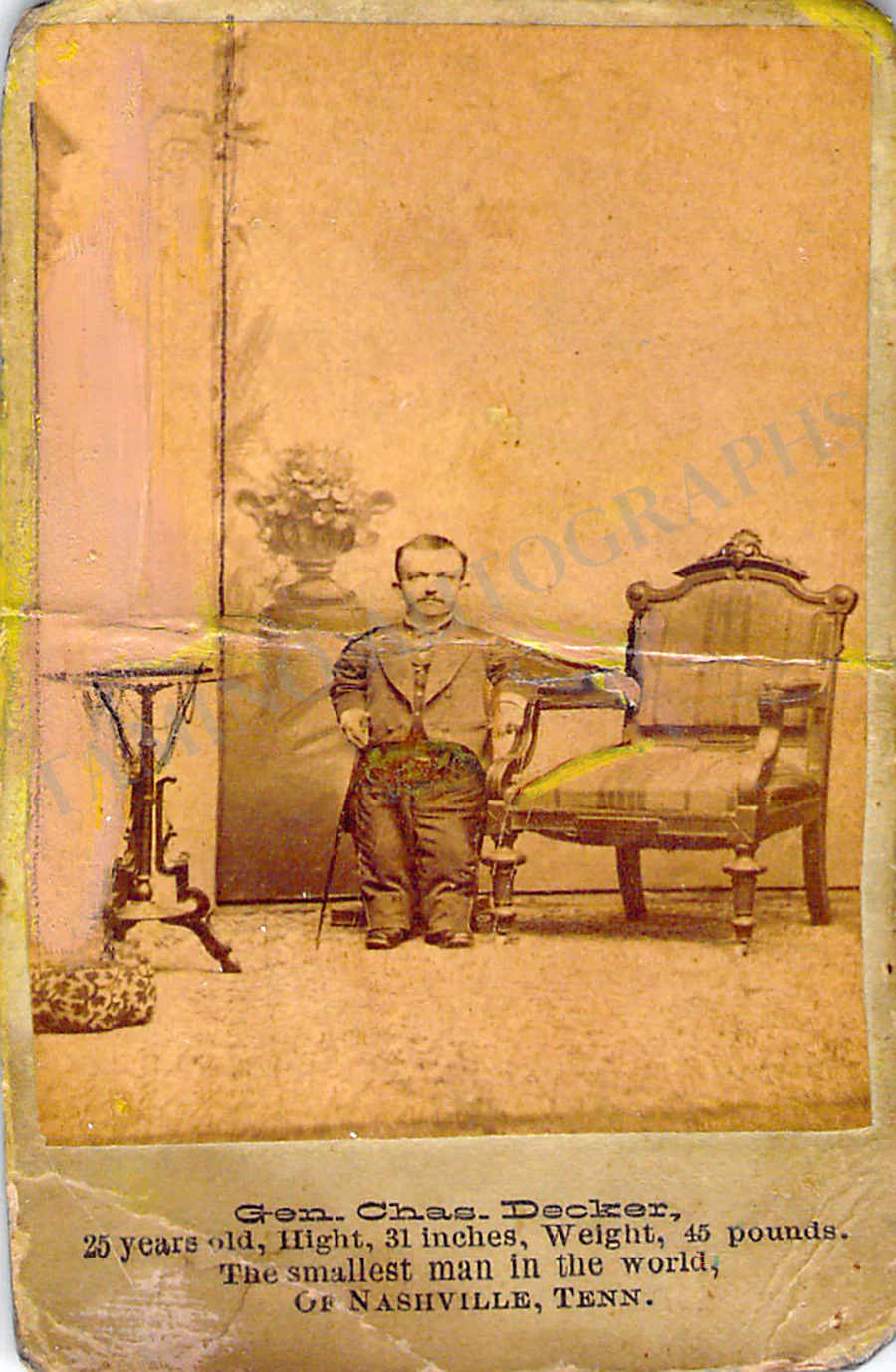 Circus Dwarfs - Lot of 7 Unsigned CDVs - Image 9