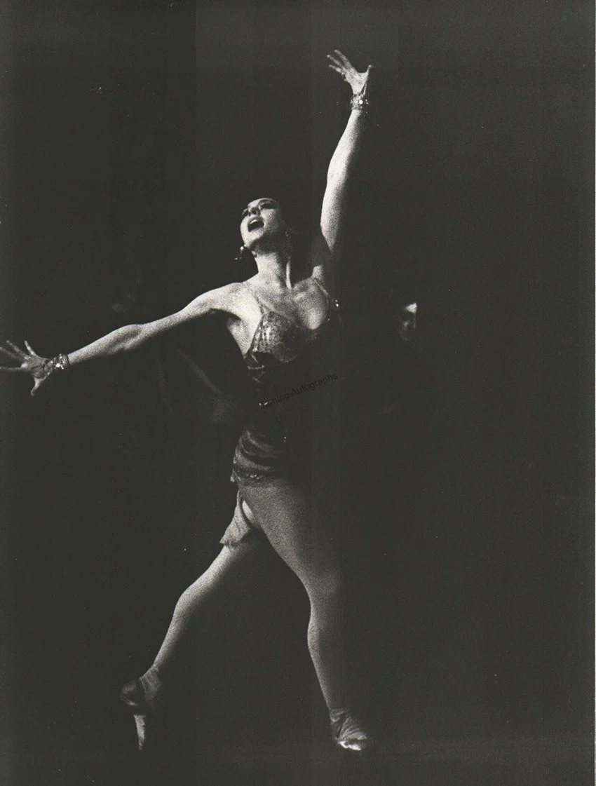 Maximova, Ekaterina - Vassiliev, Vladimir and Others - Set of 37 Large Ballet Photos - Image 11