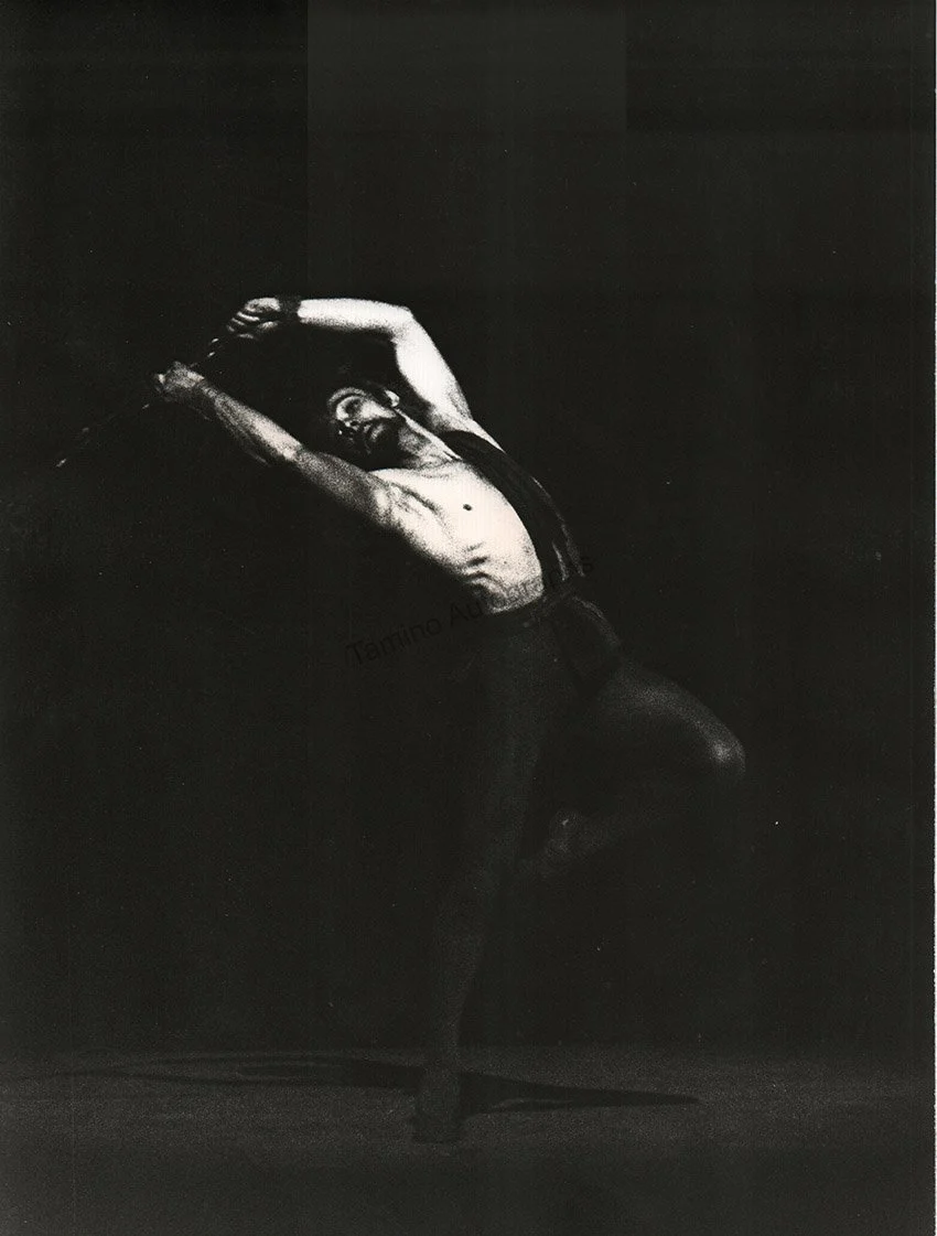 Maximova, Ekaterina - Vassiliev, Vladimir and Others - Set of 37 Large Ballet Photos - Image 36