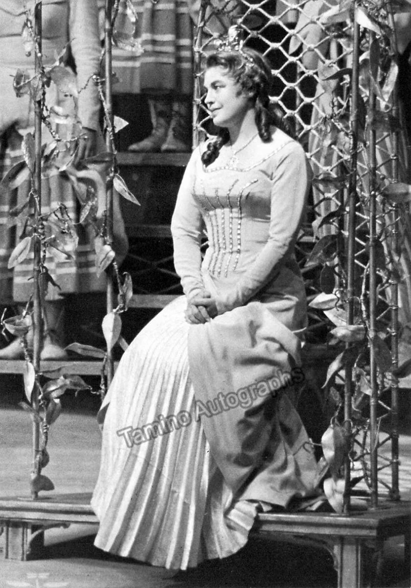 Opera Singers - Lot of 82 Photographs - Image 44