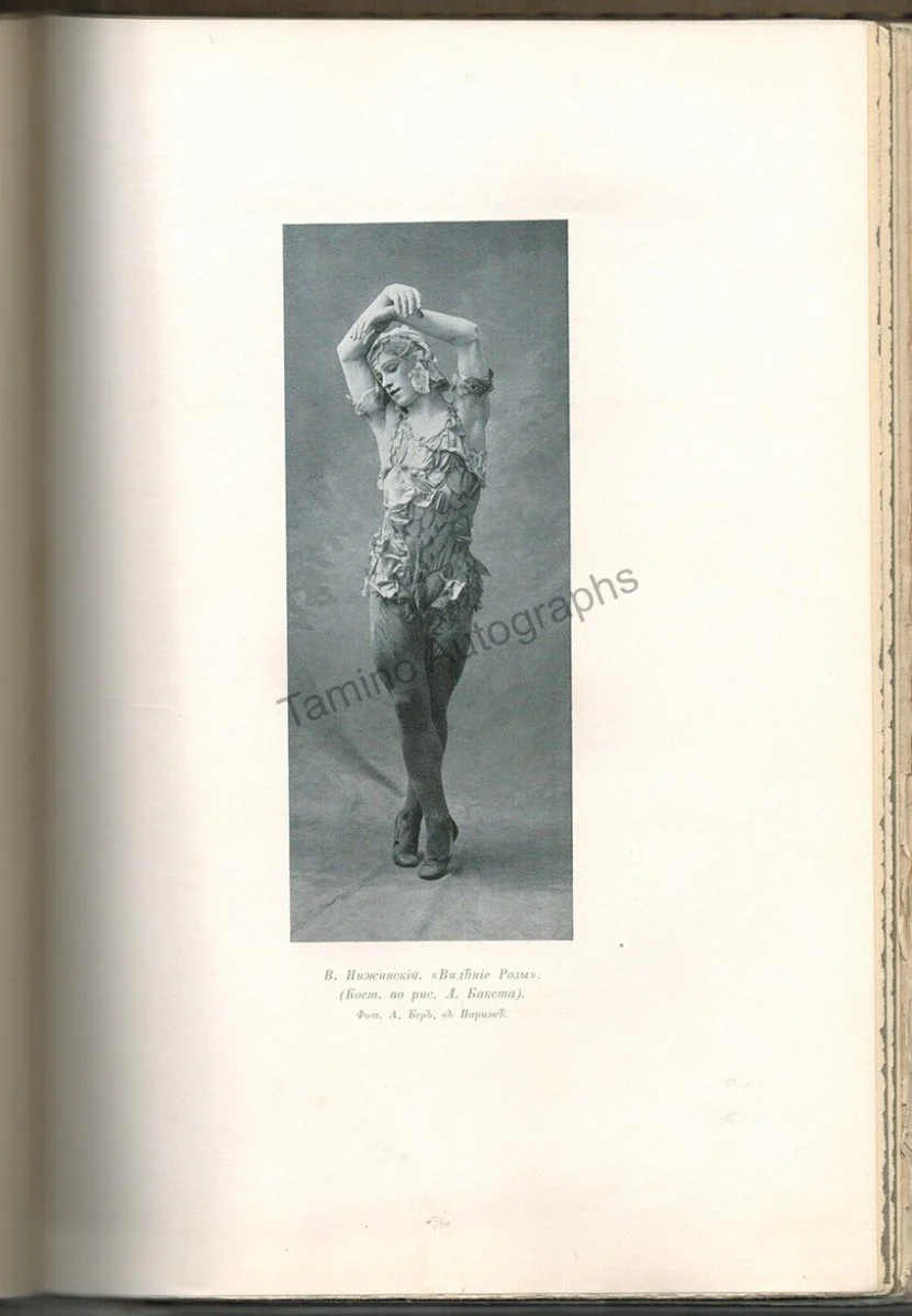 Svetlov, Valerian - Book "The Modern Ballet" 1911 - Image 9