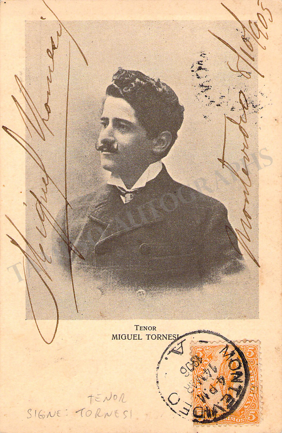 TORNESI, Michele