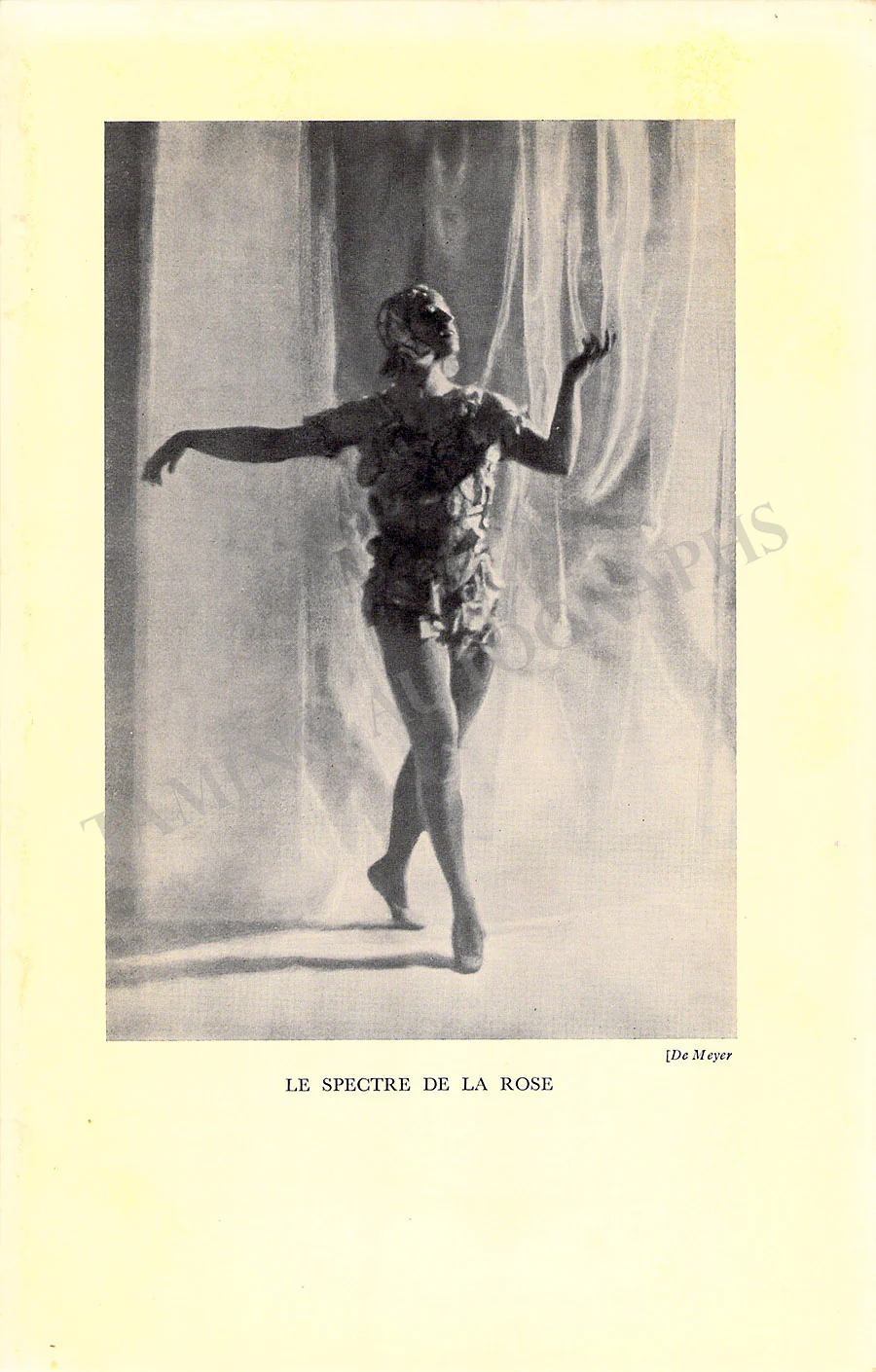Nijinsky, Vaslav & Ballets Russes - Collection of 32 Photo Lithographs - Image 6